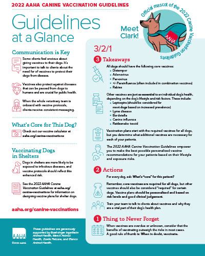 Canine Vaccination Guidelines: Key Points for .